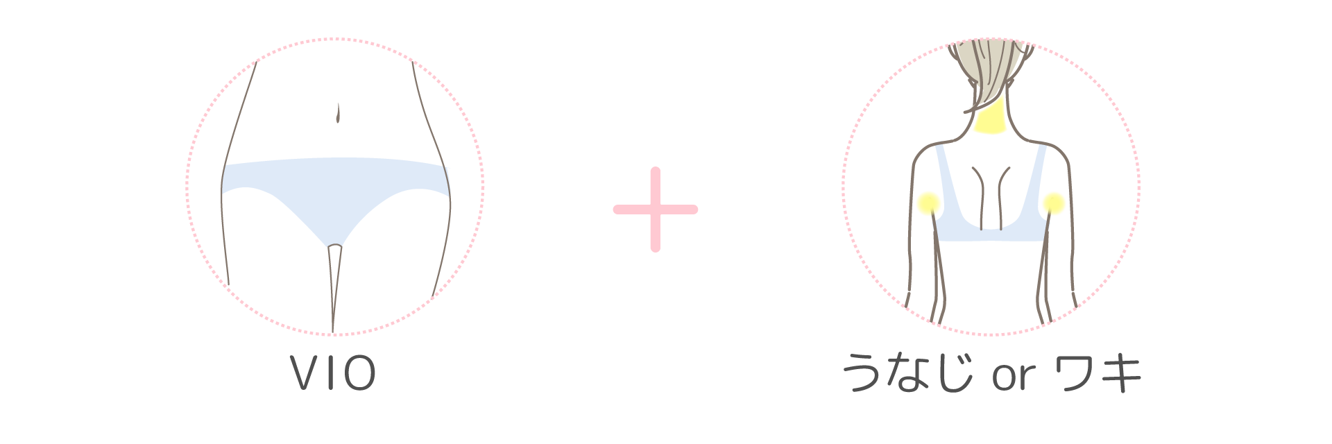 ブラジリアンワックス脱毛料金表