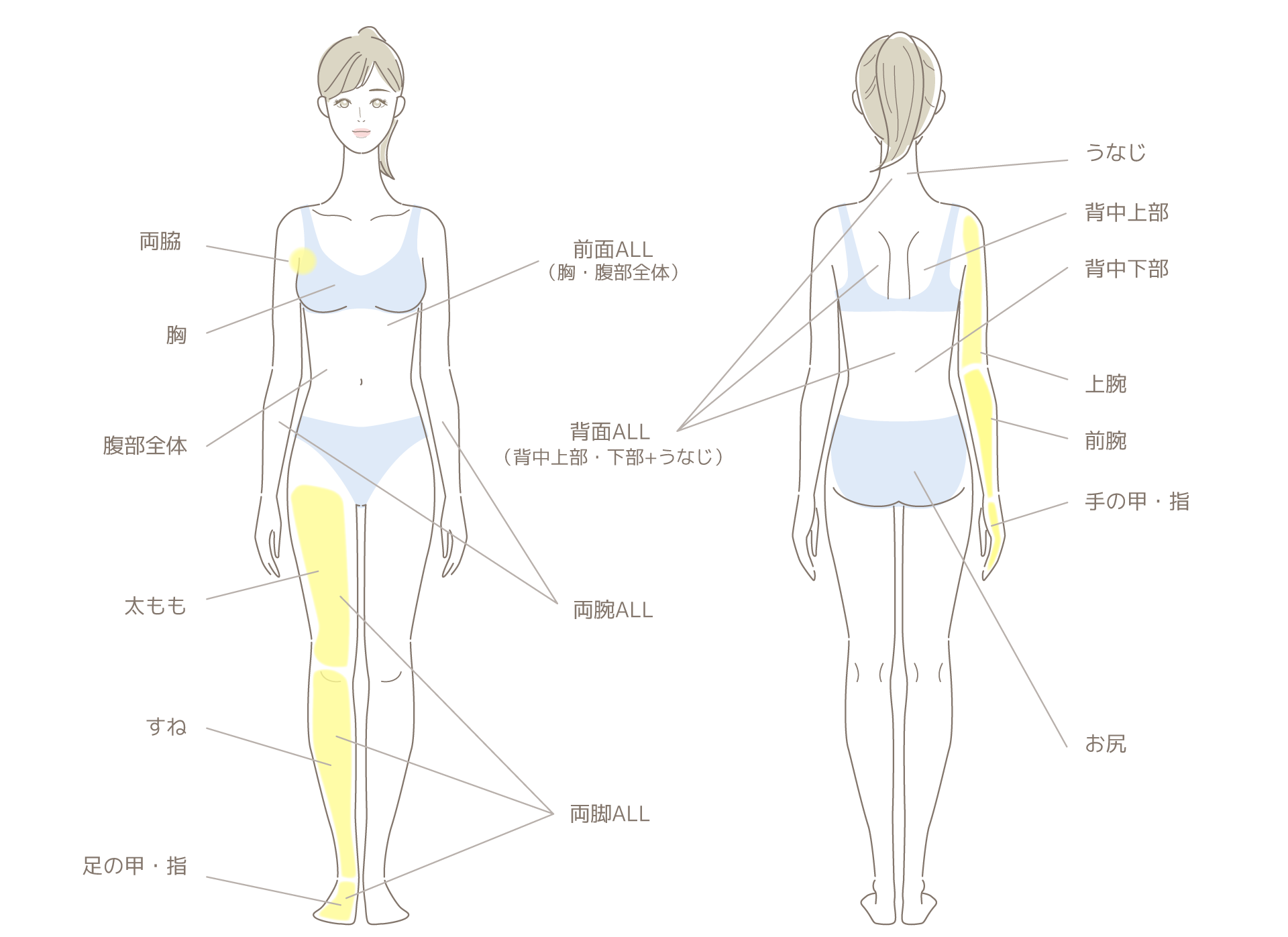 ボディワックス脱毛料金表